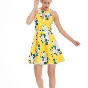 Draper James hydrangea row payton dress